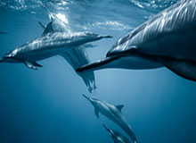 开云网页版-梁宏业：巴萨完成自救第一步 第二步是选个好主席